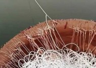 河排钩钓鱼投放技巧是什么？如何提高钓鱼效率？
