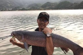 重窝钓鱼绝密技巧（掌握这一关键技巧）