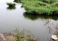 寒冷冬季钓鱼的技巧和方法（冬季钓鱼的关键是适应低温和调整钓鱼策略）