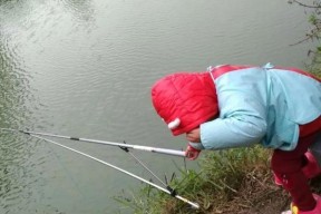 不空军的野钓技巧是什么？如何掌握这些技巧提高钓鱼成功率？