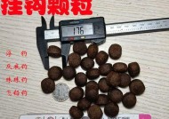 河里珠珠钓鱼技巧有哪些？如何提高钓鱼成功率？