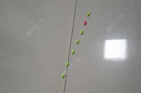 钓半水钓鱼技巧有哪些？如何提高钓半水的渔获量？