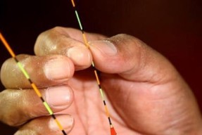 如何掌握钓鱼调漂半水技巧？教程简单易学吗？