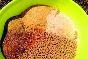 玉米饵钓鱼技巧（提高钓鱼效果的关键点）