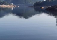 风平浪静水库钓鱼技巧有哪些？如何提高钓鱼成功率？