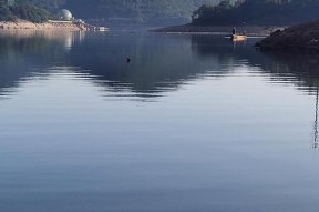 风平浪静水库钓鱼技巧有哪些？如何提高钓鱼成功率？