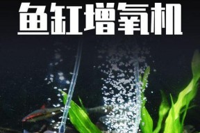 水库钓鱼小水泵技巧（提升钓鱼效果的关键——小水泵的使用技巧）