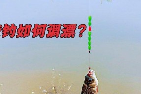 如何快速掌握钓鱼调漂小技巧？最简单的方法是什么？