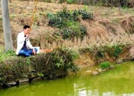 放养鱼塘钓鱼技巧有哪些？如何提高钓鱼成功率？