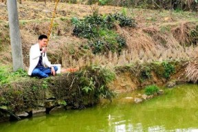 放养鱼塘钓鱼技巧有哪些？如何提高钓鱼成功率？