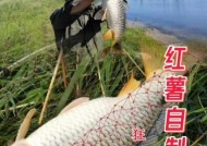 新鲜饵料钓鱼技巧（钓鱼高手教你如何利用新鲜饵料提升钓鱼成功率）