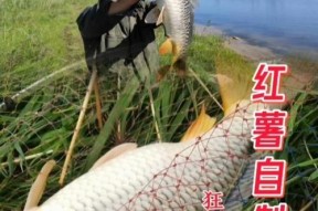 新鲜饵料钓鱼技巧（钓鱼高手教你如何利用新鲜饵料提升钓鱼成功率）