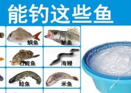 筏钓海钓钓鱼技巧有哪些？如何提高钓鱼成功率？