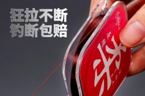 钓鱼线缠绕技巧大揭秘（提升钓鱼成功率，让你的线不再纠结）