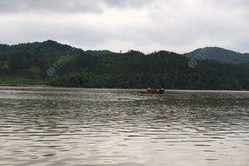 不空竿钓鱼技巧是什么？如何有效提高钓鱼成功率？