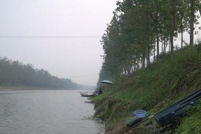 夏天水草钓鱼的技巧与方法（畅游在水草丛中）
