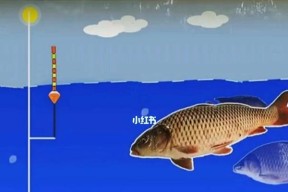 提高野钓技巧，玩转抗走水（用心把握走水）