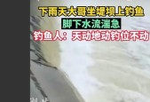 风浪大水流急钓鱼技巧？如何应对恶劣天气下的垂钓挑战？