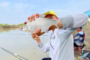 河流野钓走水技巧和方法是什么？如何应对走水情况提高钓鱼成功率？