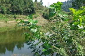 春天小河沟野钓的技巧（找钓点轻松入手，一网打尽美味）