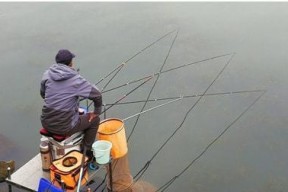 冬天藕塘钓鱼的技巧（寒冬中）