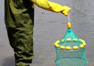 浮力钓鱼的技巧有哪些？如何提高浮力钓鱼的成功率？