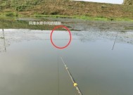 冬天深坑钓鱼技巧（寒冬冰封）