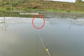 冬天深坑钓鱼技巧（寒冬冰封）