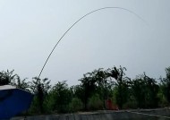 黑坑钓鲤鱼打浮的技巧是什么？如何提高钓鲤鱼的成功率？