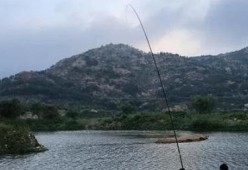 浮水米诺钓海鲢的技巧和方法是什么？如何有效钓获海鲢？