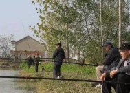 干旱的鱼塘钓鱼技巧和方法是什么？如何提高钓鱼成功率？