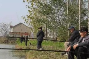 干旱的鱼塘钓鱼技巧和方法是什么？如何提高钓鱼成功率？