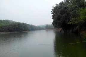 冷水山钓鱼技巧（掌握冷水山钓鱼的窍门）