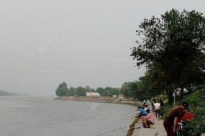河水钓鱼的技巧有哪些？如何提高钓鱼成功率？