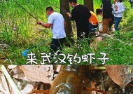 钓鱼钓虾的最佳方法与技巧（掌握这一关键技巧，让你轻松享受美味的钓鱼钓虾乐趣）