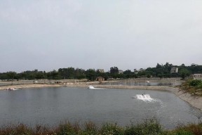 肥水塘是如何形成的？肥水钓鱼有哪些技巧？
