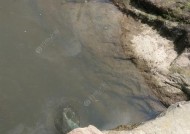 东北地区清明节钓鱼技巧（挖坑、选饵、钓点选择，让你轻松钓到丰收）