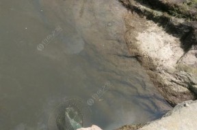 东北地区清明节钓鱼技巧（挖坑、选饵、钓点选择，让你轻松钓到丰收）
