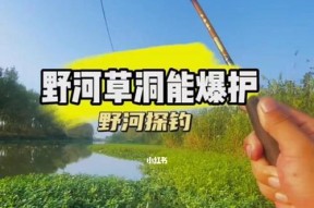 春季钓鱼草洞打窝技巧是什么？如何有效提高钓鱼成功率？