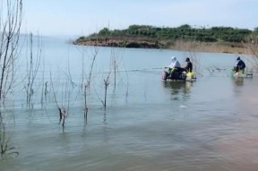 水底有树枝时钓鱼小技巧是什么？如何应对树枝障碍提高钓鱼成功率？