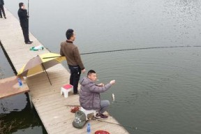 如何掌握钓鱼抬杆刺鱼技巧？抬杆刺鱼的最佳时机是什么时候？