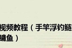 池塘钓鱼技巧调漂教程？如何快速掌握调漂技巧？