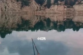 钓鱼的技巧和经验有哪些？如何快速提升钓鱼技能？