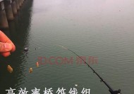 河流钓鱼用串钩技巧有哪些？如何提高钓获率？