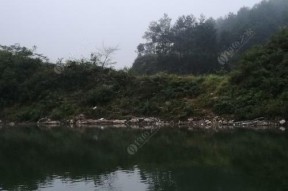 东季水库钓鱼技巧有哪些？如何提高钓鱼成功率？