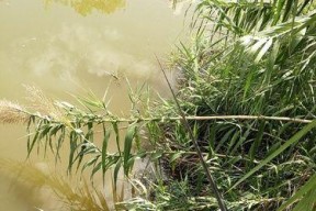 中秋季节鲫鱼垂钓技巧（秋风瑟瑟）