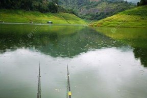淹水钓鱼的技巧及注意事项（以水淹玉米地钓鱼的关键技巧与经验分享）