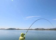 翻板钓浮的正确方法与技巧（轻杆与鱼饵的选择关键）