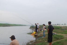 伏天钓鱼有哪些技巧？如何提高夏季钓鱼成功率？