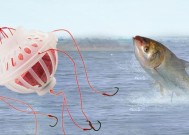 河流手竿钓鱼的技巧和方法是什么？如何提高钓鱼效率？
